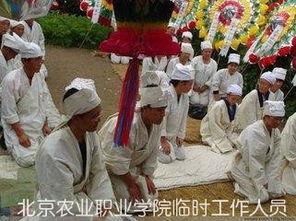 农村白事全部过程视频,传统习俗与情感交织的告别仪式