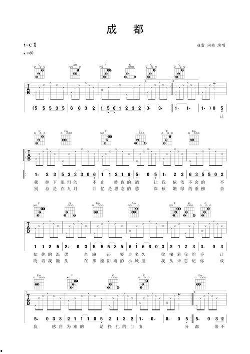 吉他赵雷视频,旋律中的情感共鸣之旅