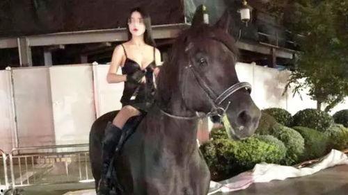 中国女人骑马视频,中国女性骑马英姿飒爽展风采