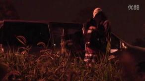 各种门的视频,从视频解析各类门的设计与功能